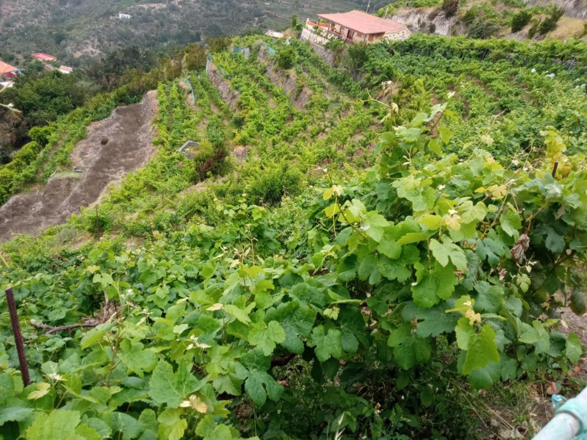 Casa Rural Quilla Agulo Εξωτερικό φωτογραφία