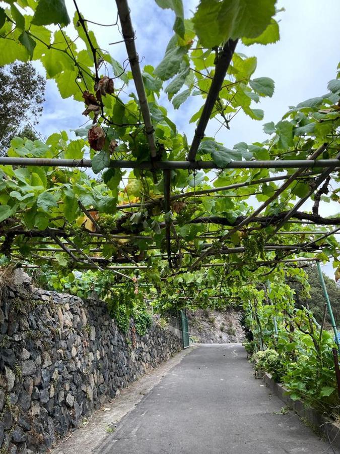 Casa Rural Quilla Agulo Εξωτερικό φωτογραφία